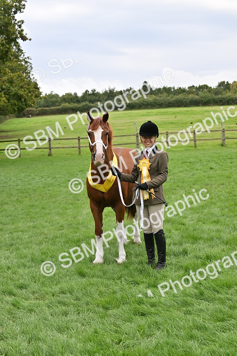 SBM_63310 - S49 - Mountain & Moorland In Hand Large Breeds