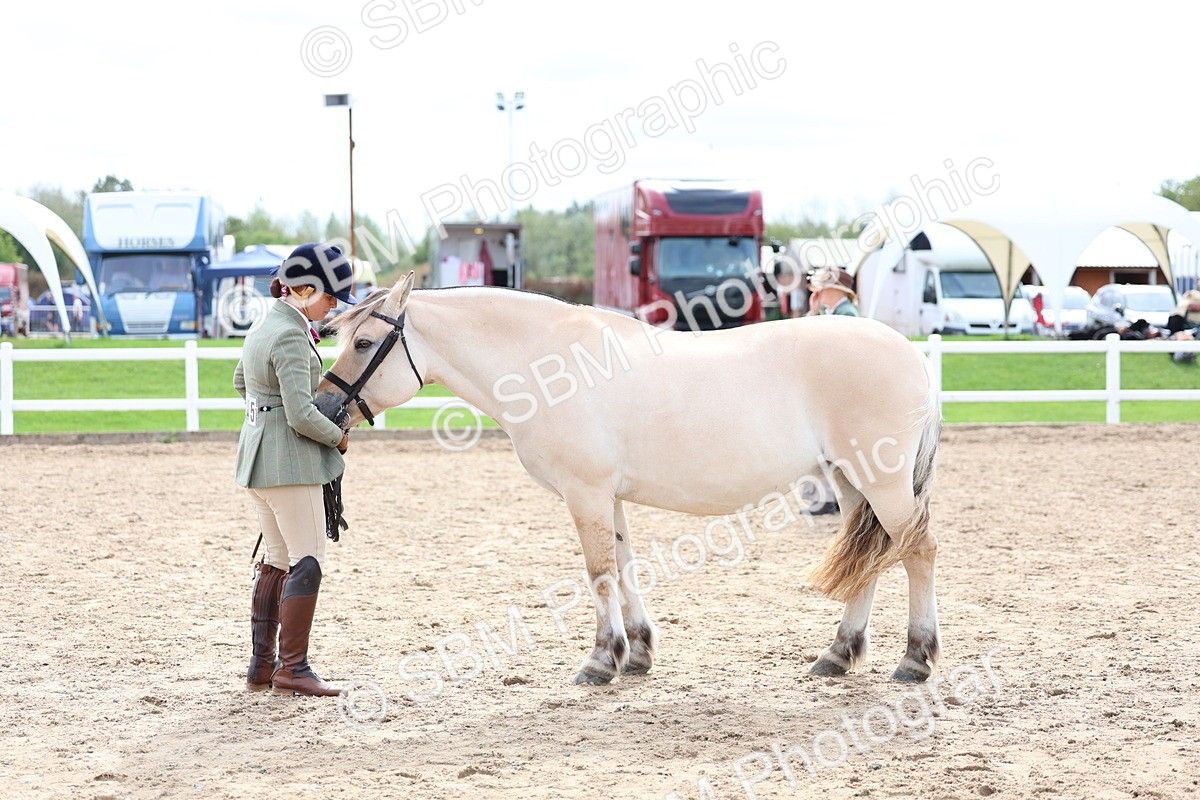 SBM_03949 - Class 25 - IH Foreign Breeds - Pure Bred