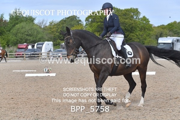 BPP_5758 - 25 V HAMILTON