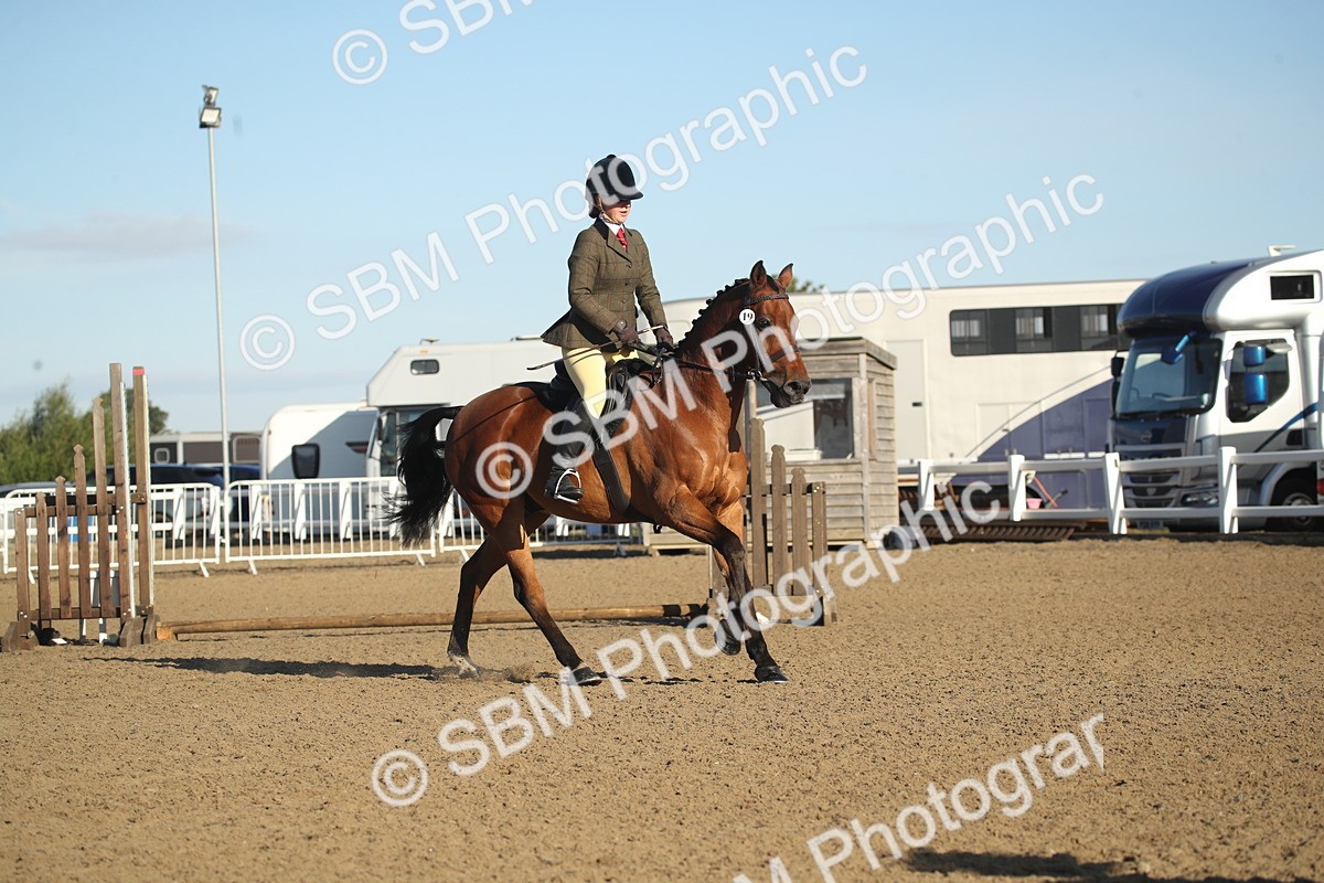 SBM_11557 - Class 502 - Riding Club Horse