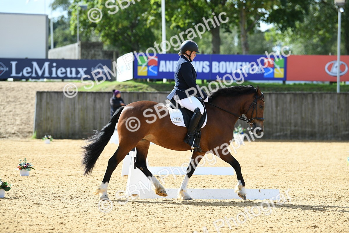 SBM_03139 - D7 Small Tour Championship Prelim 1