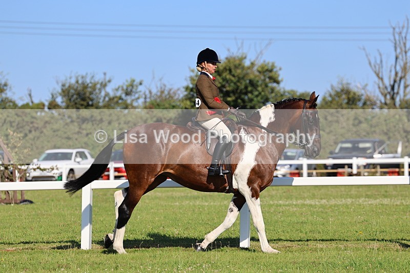 IMG_1351 - Class 27: Ridden Plaited Coloured Horse