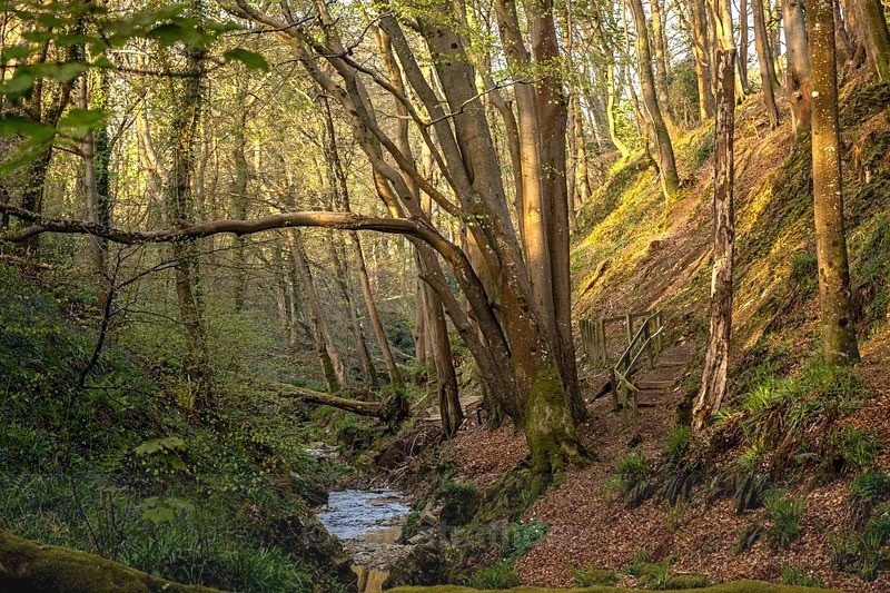 Groudle Glen - Latest additions
