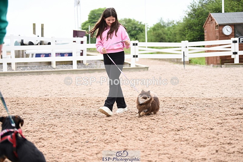 240518A-112022-00750 - Cls 1 Cutest Puppy