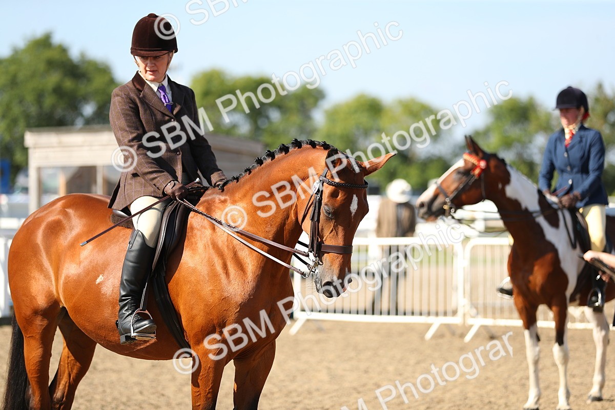 SBM_02266 - Class 43 Ridden Competition Horse/Pony