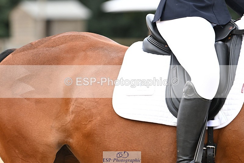 250808A-100440-00030 - 040-Scarlett.Hawkins-Indiana.V