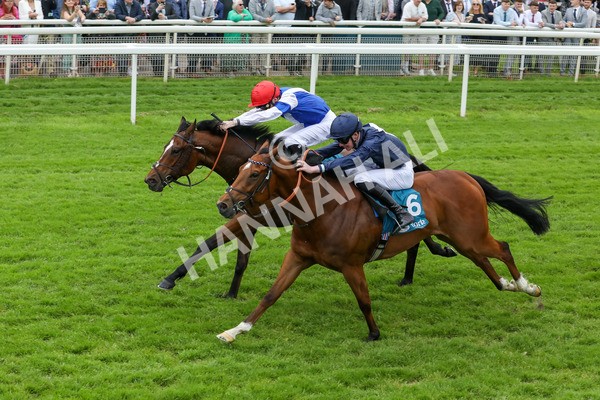 250524-Race 1-Tiriac-2973 - Race 1 1.35pm William Hill Keep Your Raceday Positive Handicap