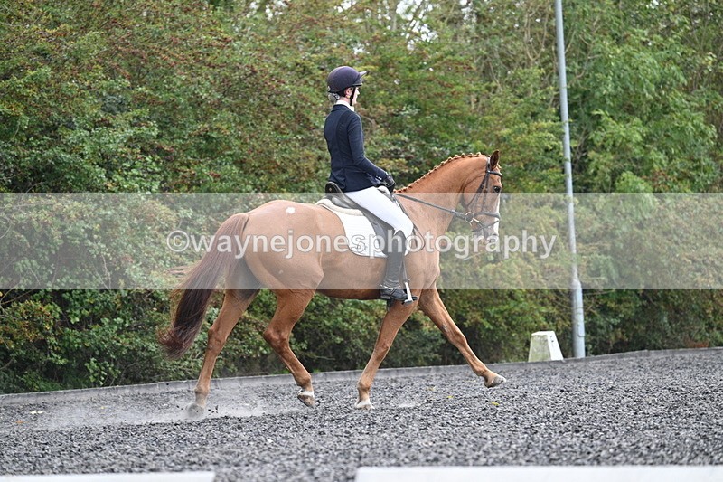 WJ7_6771 - Time 14:49 to 15:14