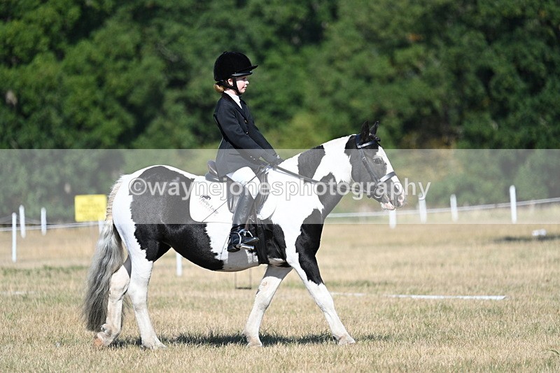 WJ7_9395 - Time 10:08 to 10:13