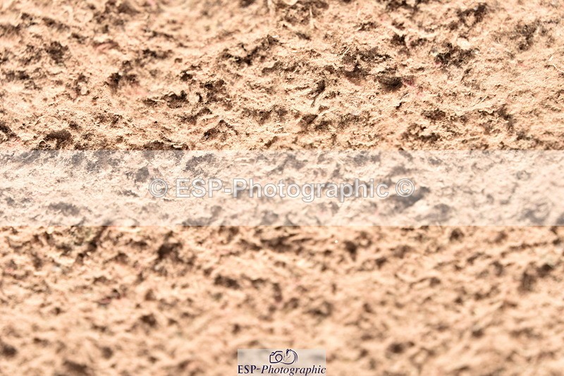 230810A-132552-01153 - Cls 10 6 Year Old Championship