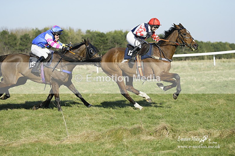 PtP 270222 232 - South & West Wilts Point-to-Point Larkhill 27/02/22