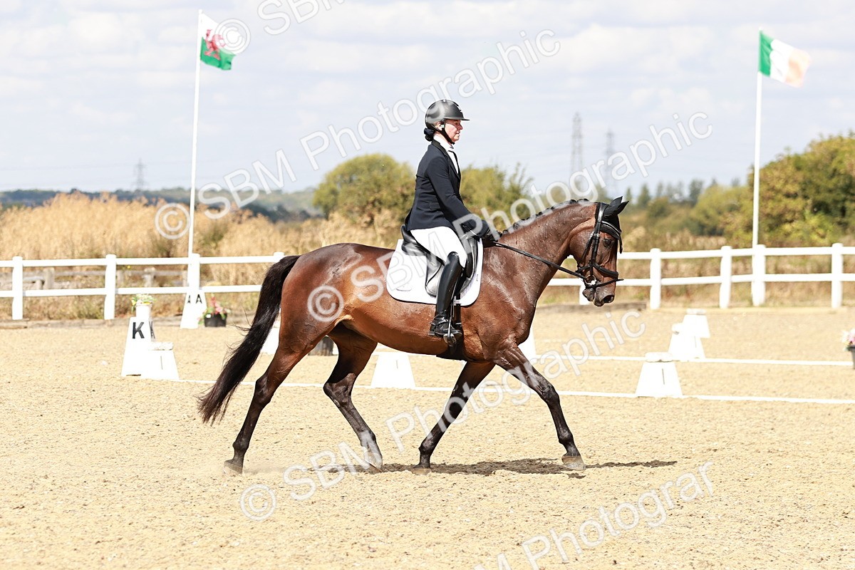SBM_018196