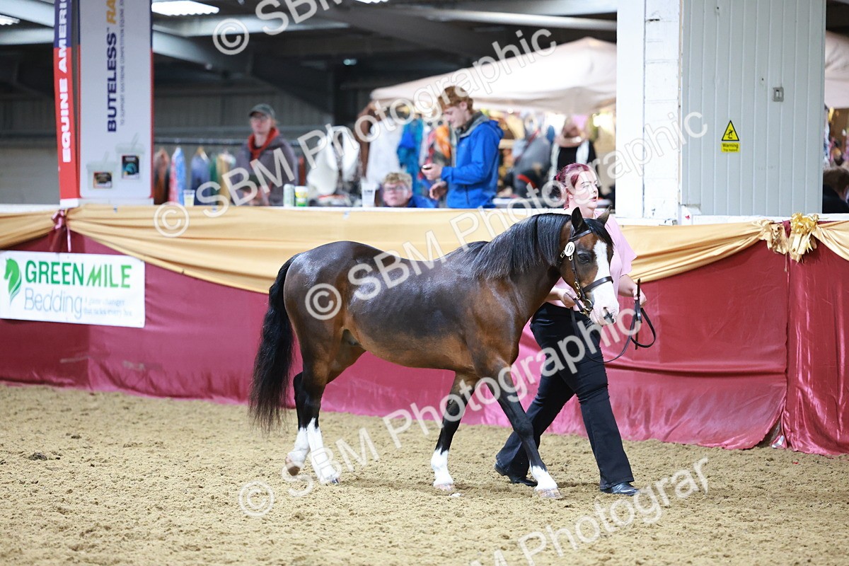 SBM_20094 - Class C - Novalty Champ