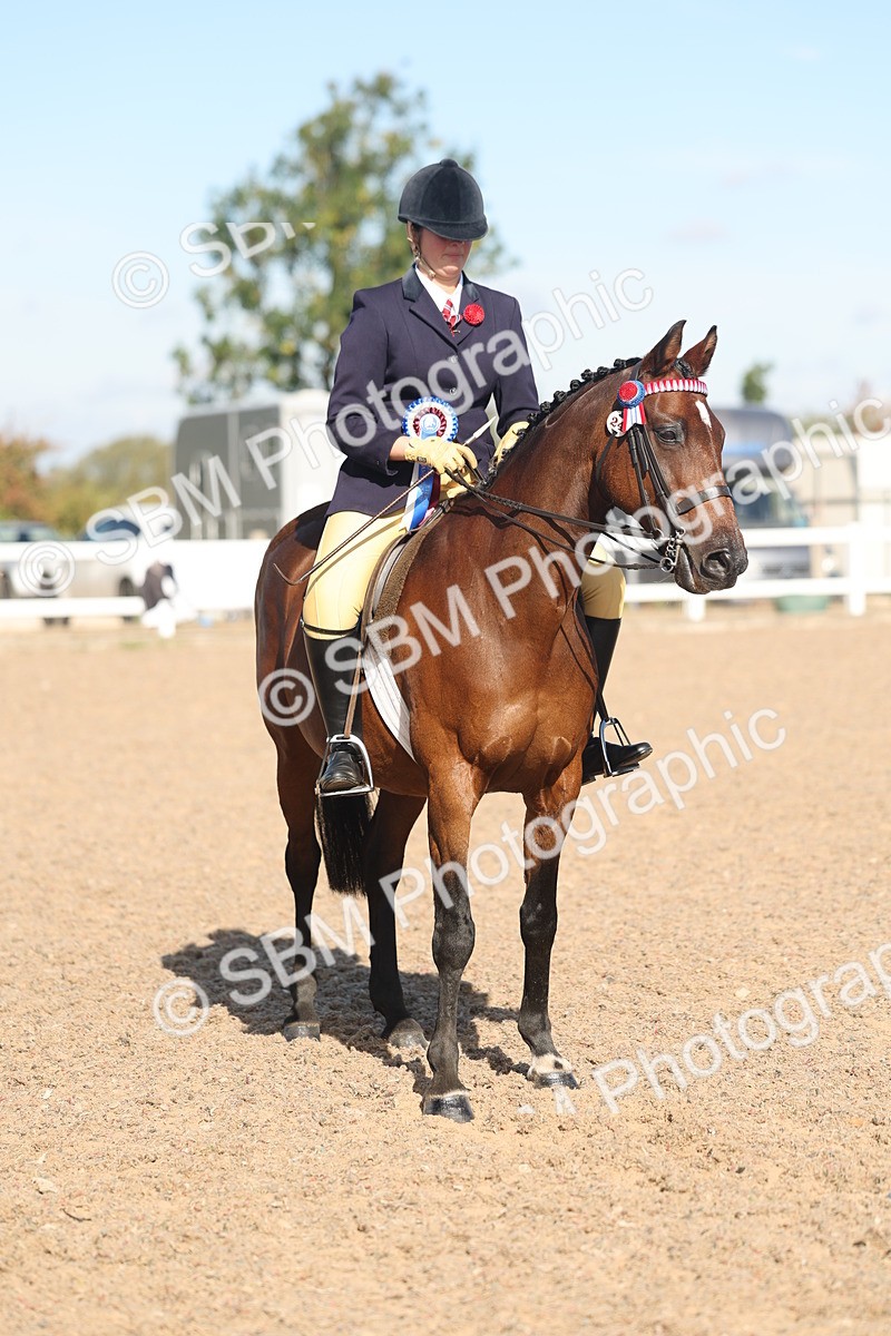 SBM_12418 - Class 304 - Ridden part Bred Horse Pony
