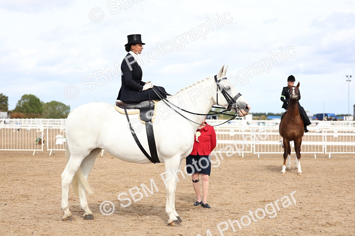 SBM_03243 - Class 22 - SSA Equitation (any age)