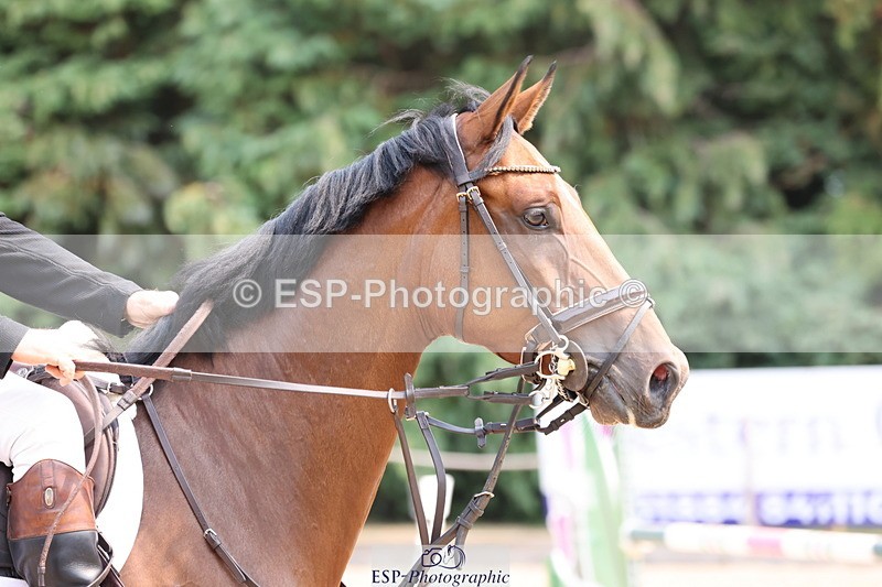 250816A-123128-01419 - Cls 5 Snr Discovery