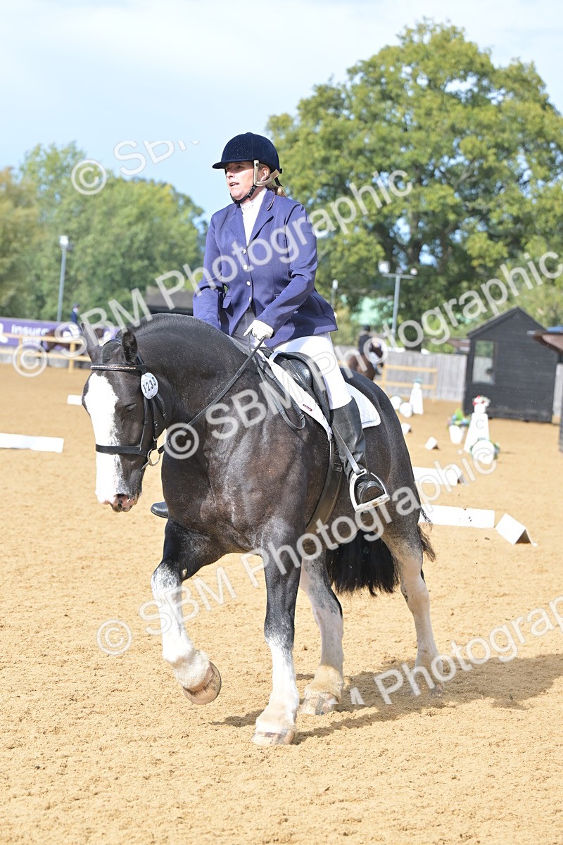 SBM_09284 - D8 - Small Tour Championship Prelim 1