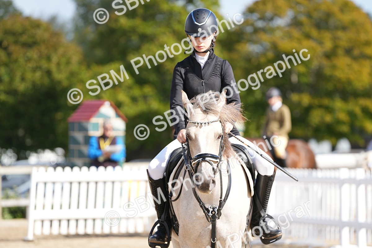 SBM_17832 - J58 - Clear Round 50cm