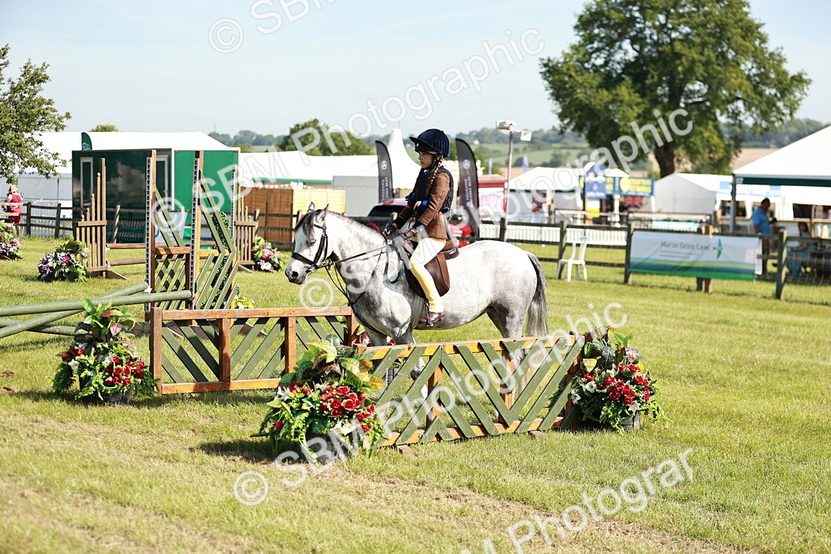SBM_12651 - Class 106-107 - BSPS LIHS Working Sports Pony
