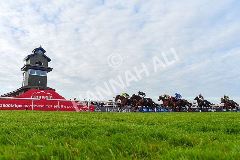 040526-Race 8-Coolree-2130 - Race 8