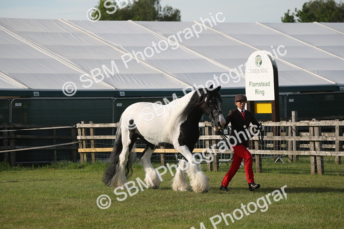 SBM_10538 - Class 33-38 - SSADL RIHS Qualifiers