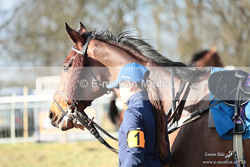 PtP 240126 334 - Cambridgeshire & Enfield Chase PtP Horseheath 24/01/26