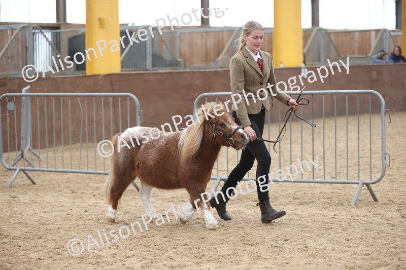 20251109-0366 - Class 14 - Geldings 4 Years and Over