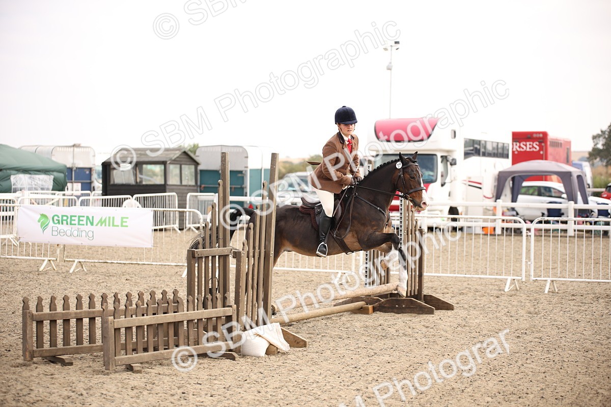 SBM_13561 - Class 406b - Working Veteran 50cm (20+)