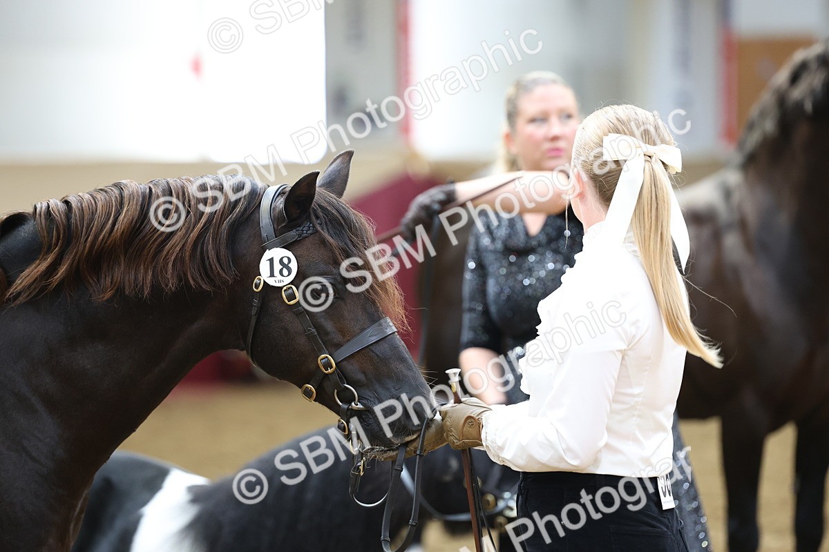 SBM_23317 - Class 903 - Supreme Final - IH Pre Vet