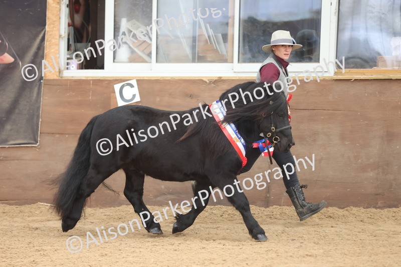 20251109-0141 - Championship