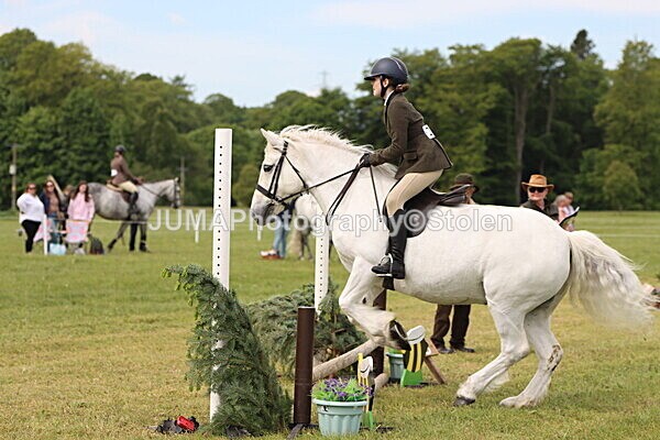IMG_2503 - Working Hunter