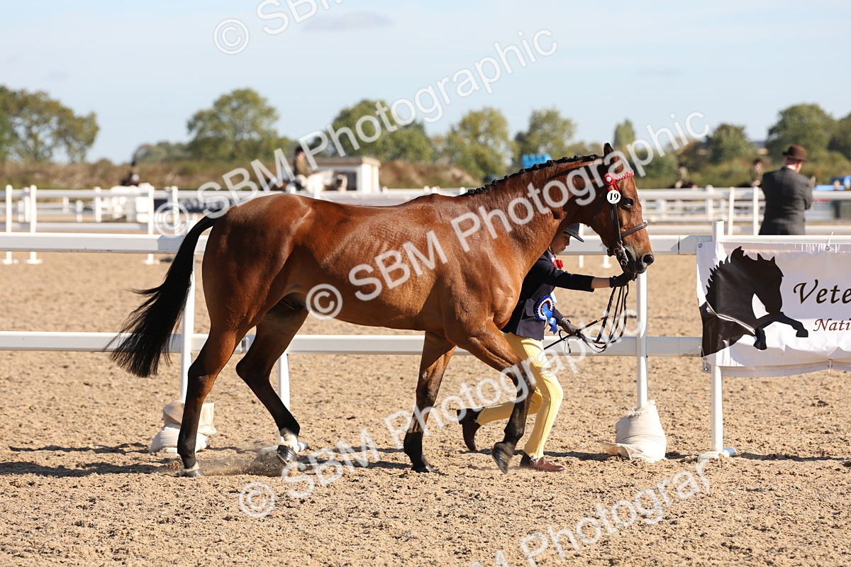 SBM_11774 - Class 204 - Young Handler 11 to 16 years
