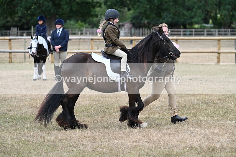 WJ7_6632 - Class 1 Lead Rein Pony