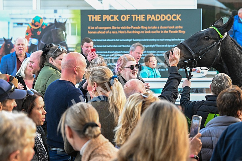 291024-Race 7-Crocodile Power-6580 - Race 7