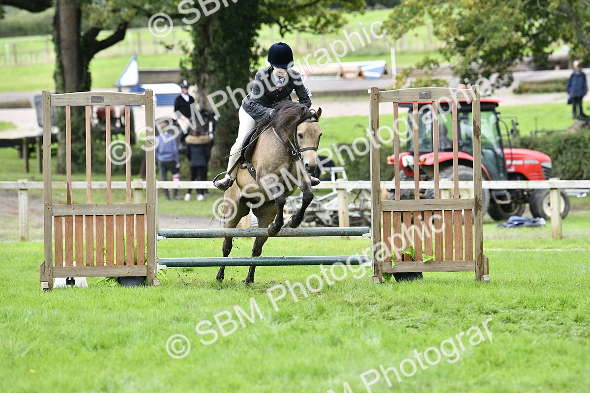 SBM_41346 - S32 - Mountain & Moorland Working Hunter Pony