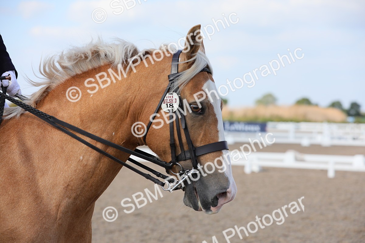 SBM_07694 - Class 33 Elementary 1