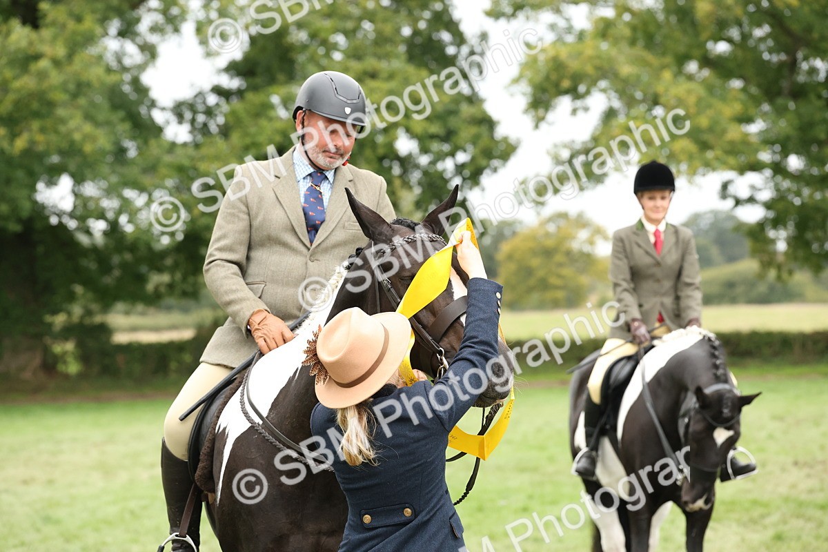 SBM_67311 - S67 - Piebald & Skewbald Horse Ridden
