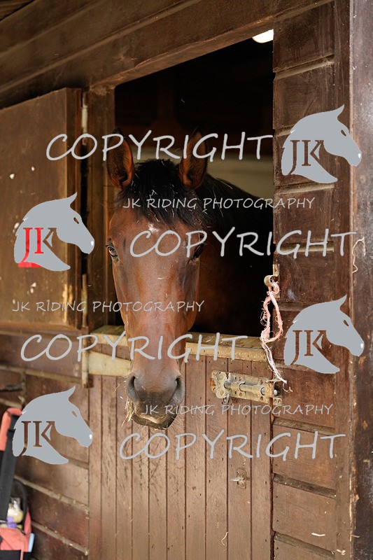 _DSC4065 - General Photos of the week!