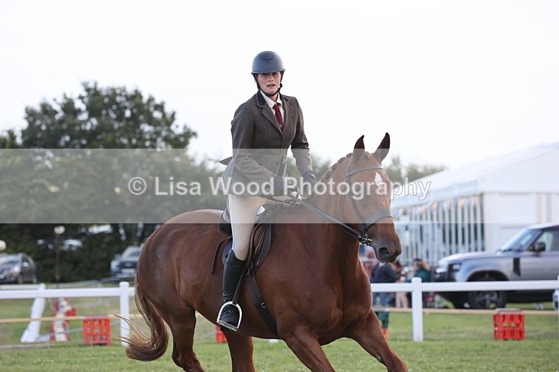 JPP_3671 - Class 24: Open Working Hunter