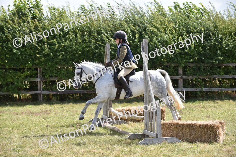 20250831-3939 - Class 11 - Working Hunter Pony 13hh and Under