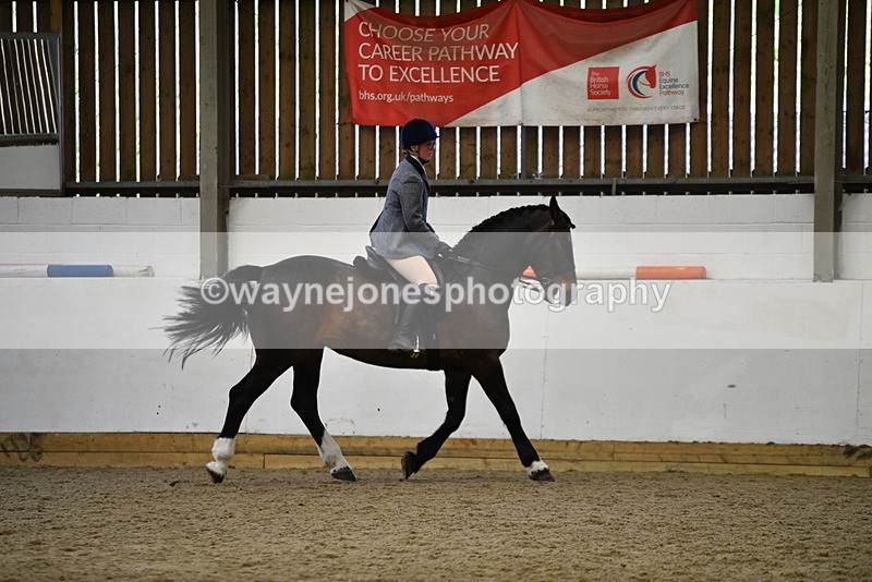 WJ5_7762 - Class 13 Ridden Part Breed