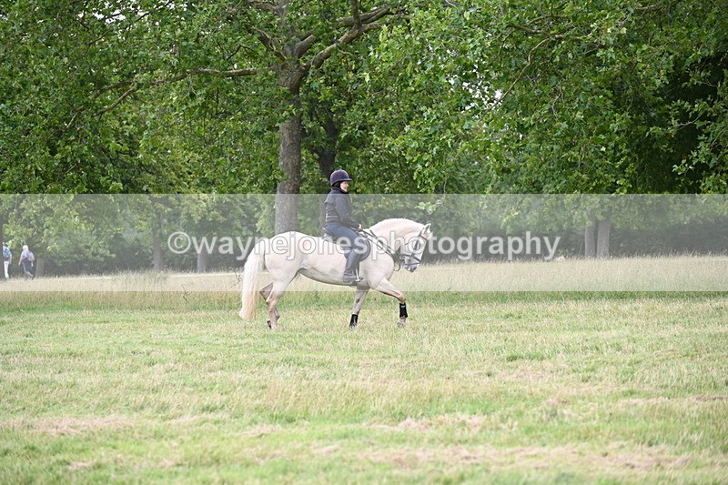 WJ6_4952 - Time at Jump 13:04 to 13:34