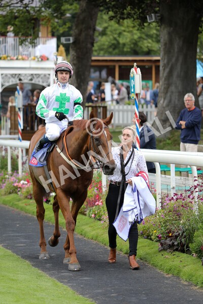 yr24072021r2-23 - Race 2 2.40pm Sky Bet Dash