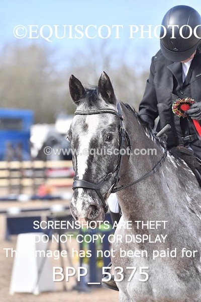 BPP_5375 - CLASS 4  British Novice/ 90cm Open