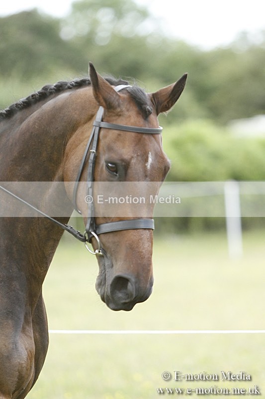 BVR160717-1777 - Ring 3 BVRC Show 16/07/17