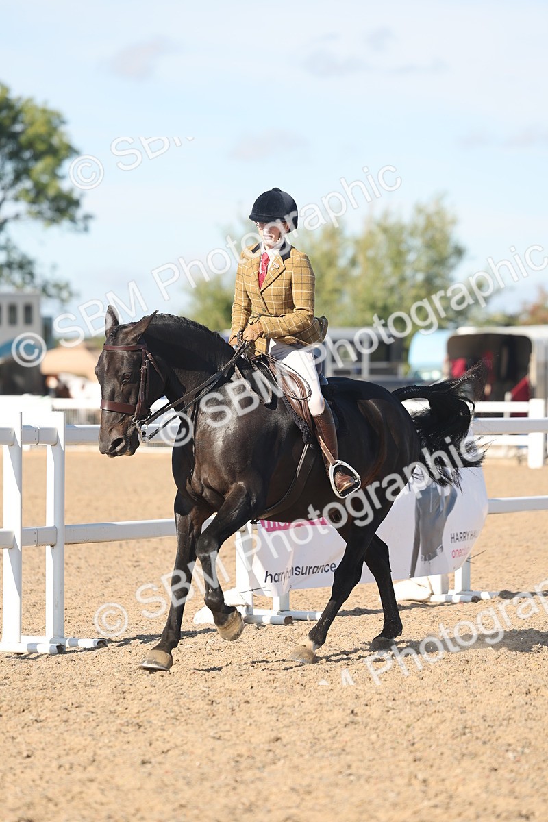 SBM_12344 - Class 304 - Ridden part Bred Horse Pony