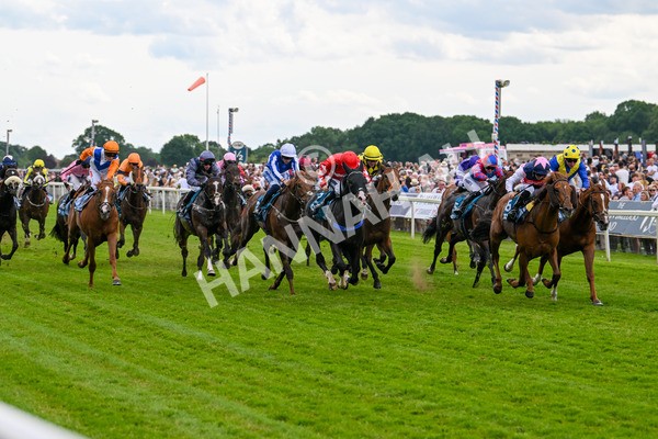 310525-Race 5-Frankies Dream-9847 - Race 5 3.50pm Reg Bond Always And Forever Handicap