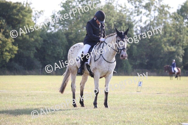 20250731-0617 - Class 1 - Intro 4