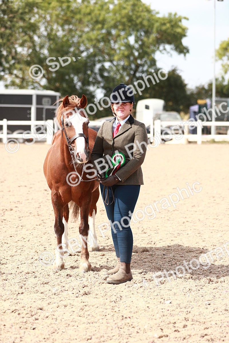 SBM_13952 - Class 209 IH Veteran Pony