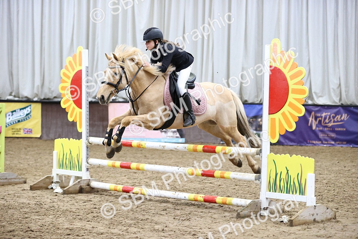 SBM_000342 - Class 2 - Pony British Novice - 80cm